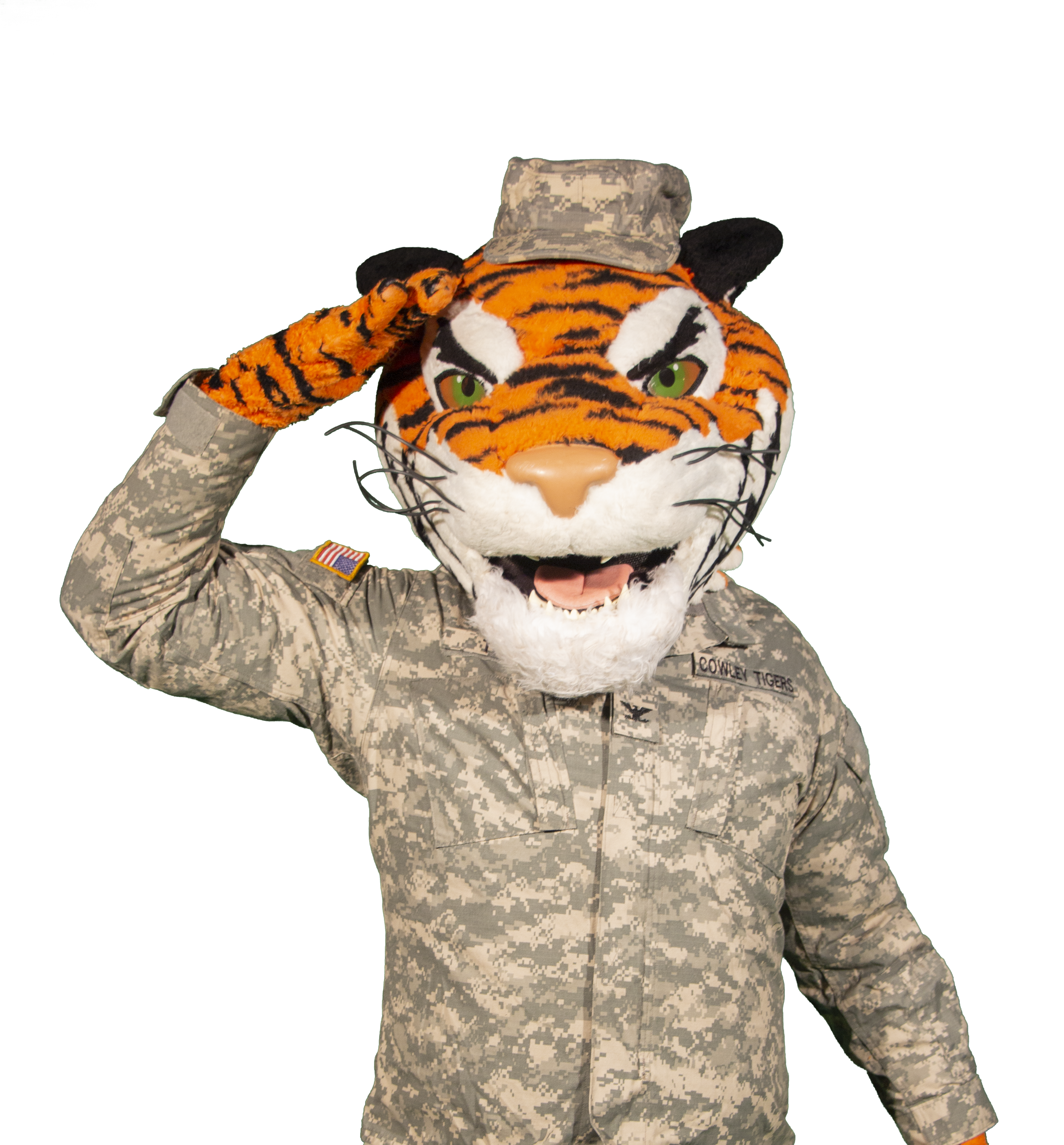 Tank the Tiger saluting
