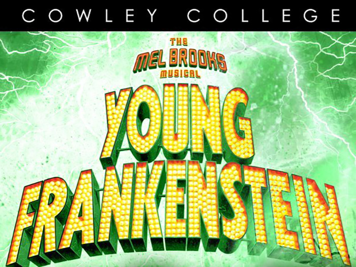 Young Frankenstein Musical poster