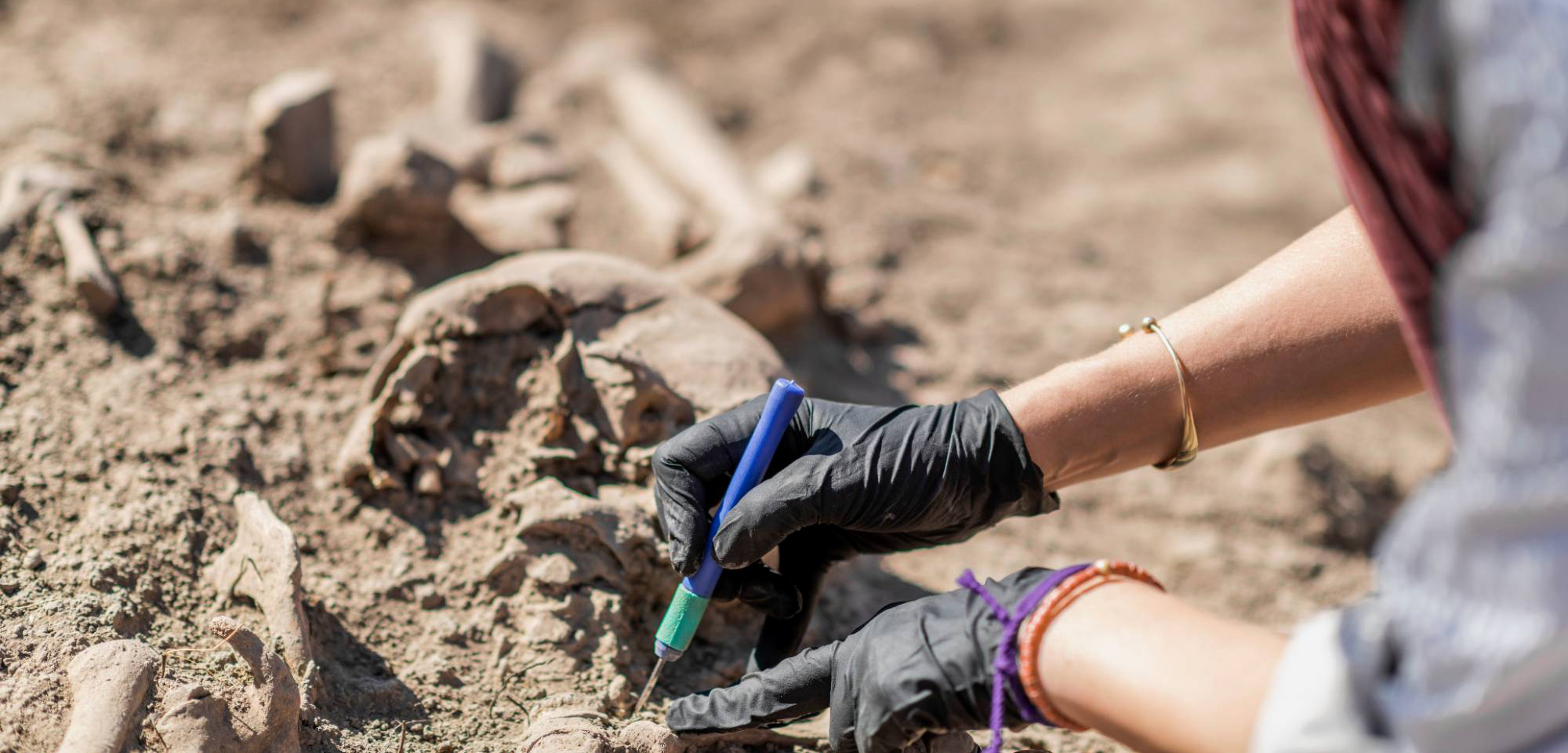 anthropologist digging artifacts