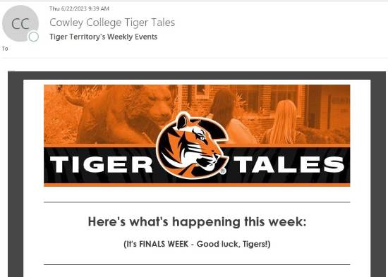 example of email newsletter